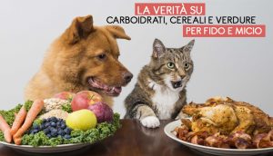 Verità_su_Carboidrati_Cereali_Verdure