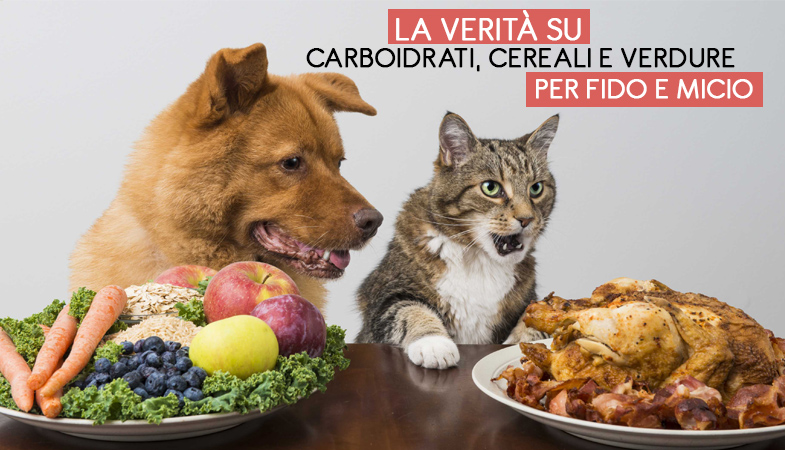 La verità su carboidrati, cereali e verdure per cani e gatti