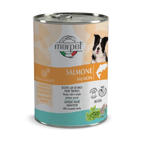 marpet equilibria salmone mangiare umido cane