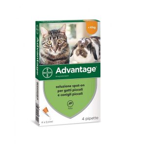 Advantage Spot on protection per gatto 4 fiale 4kg